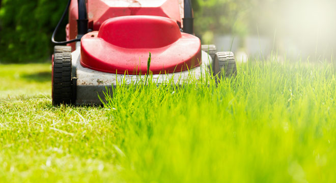 Clive Owen - Swansea Gardening Services - from grass cutting to all aspects of Garden Maintenance