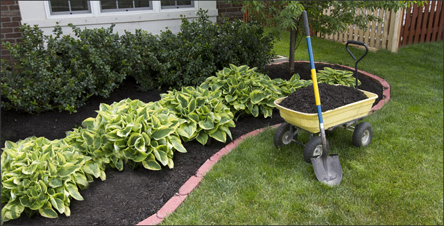 How to Create a Low Maintenance Garden - Gardening Tips