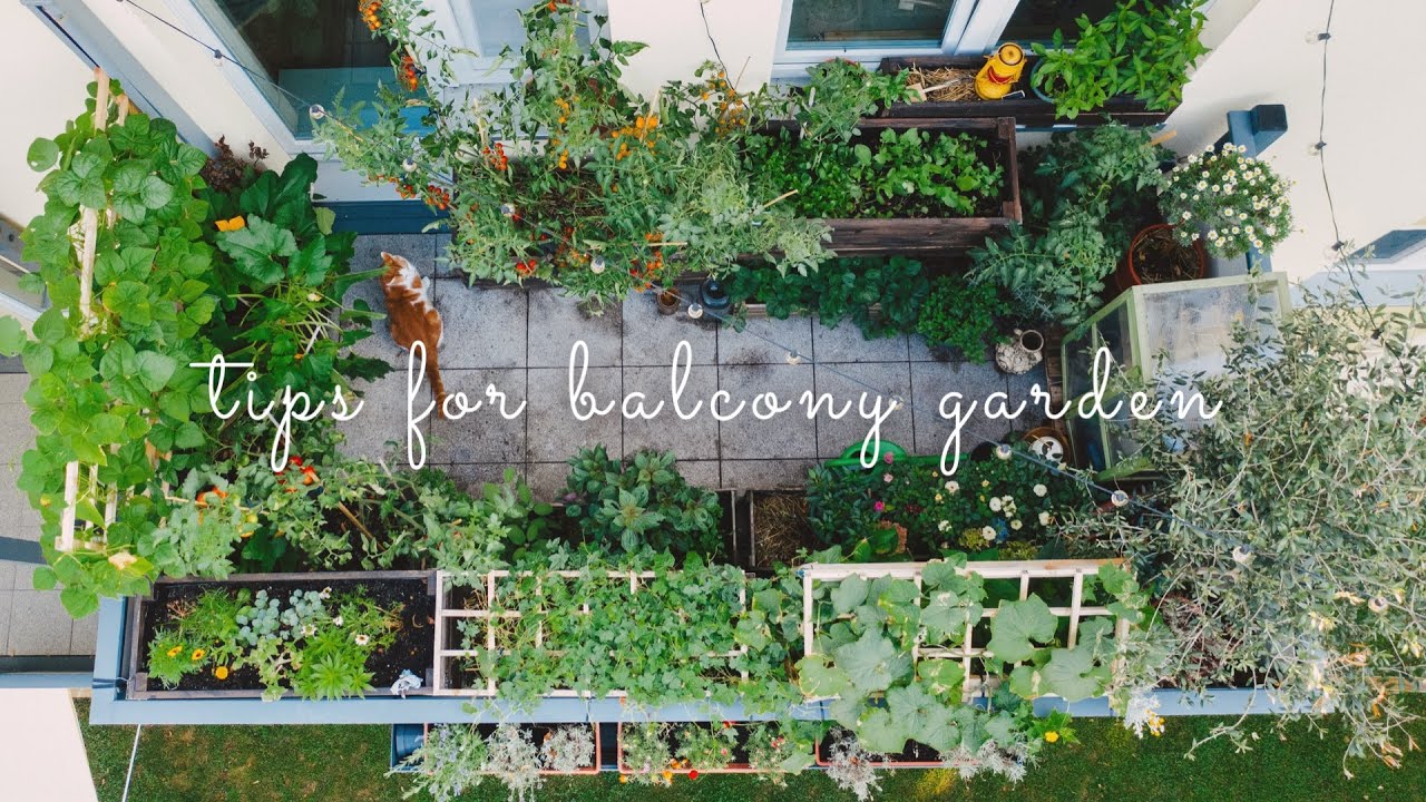 28 Essential Tips for Starting a Balcony Vegetable Garden | Urban Gardening  - YouTube