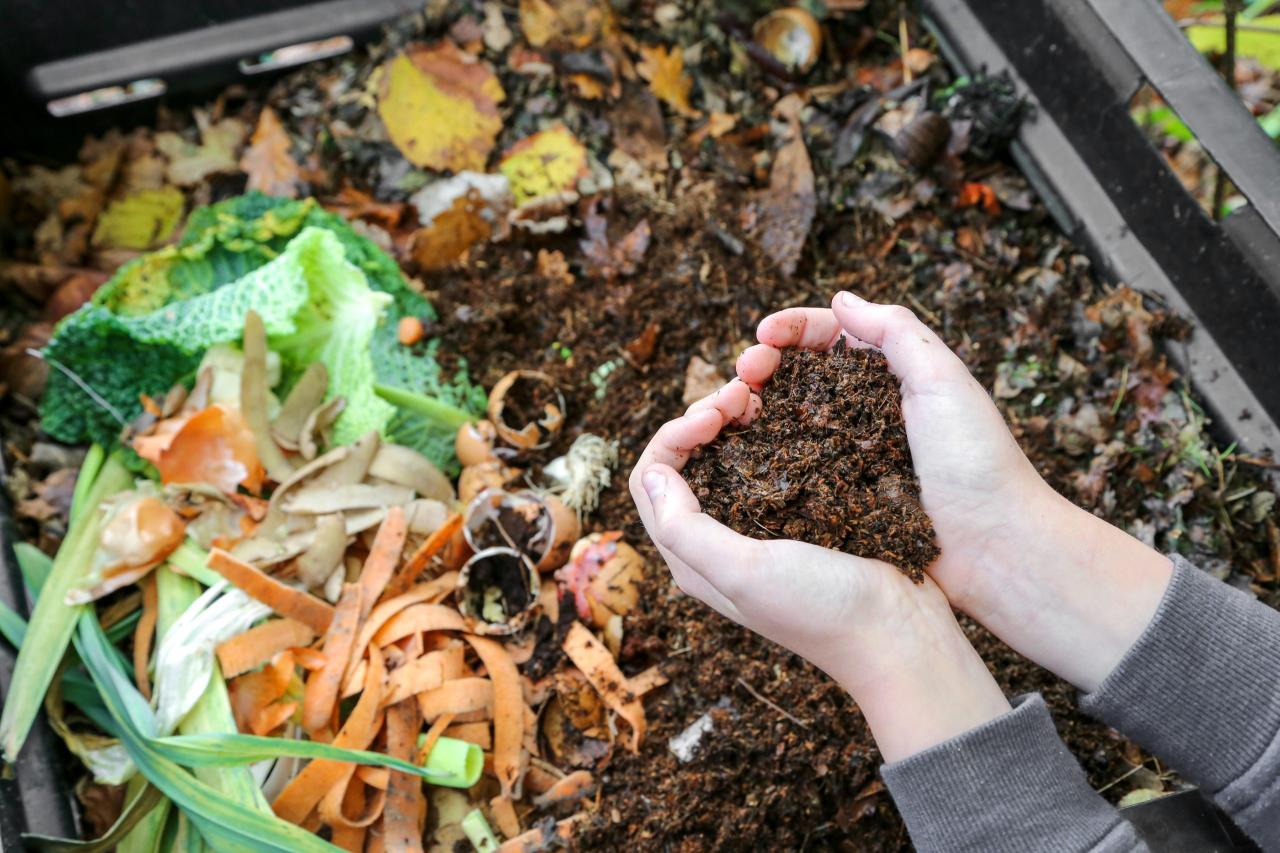 7 Things to Do With Compost if You Don't Garden - One Green Planet